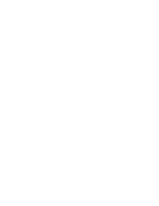 Prudnik logo pionowe
