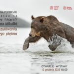 „W poszukiwaniu dzikiego piękna” Štěpán Mikulka | Wystawa fotograficzna