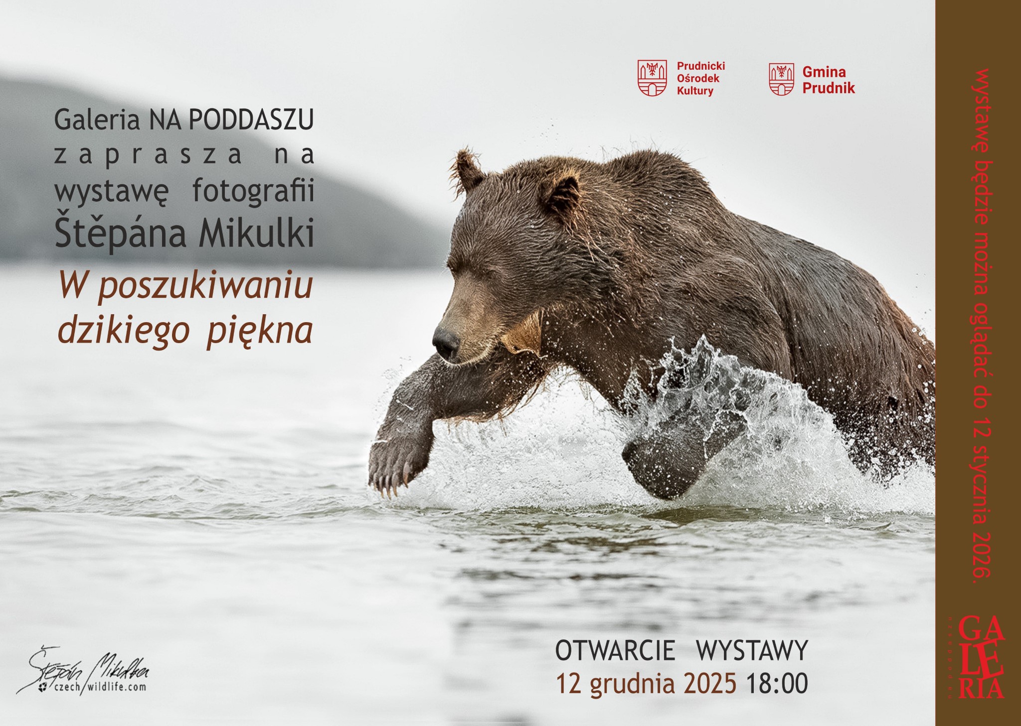 „W poszukiwaniu dzikiego piękna” Štěpán Mikulka | Wystawa fotograficzna